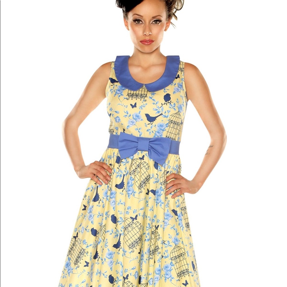 Retrolicious birdcage dress